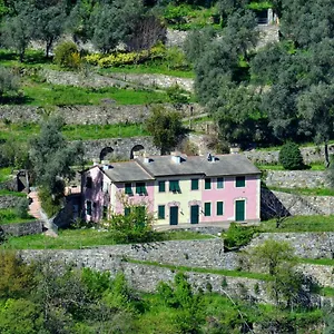 Olivari - La Lavanda Appartamento Camogli